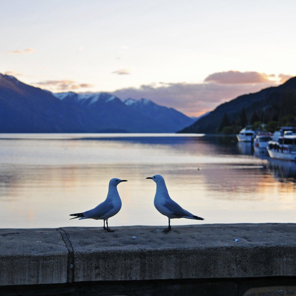 The Anniversary Wanderer