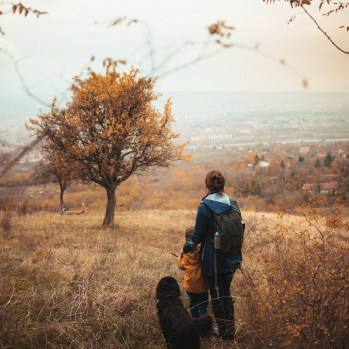 The Family Wanderer